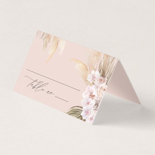 Getrocknete botanische Pampas natürliche botanisch (Vorderseite)