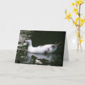 Getrocknete Duck-Grußkarte Karte (Gelbe Blume)