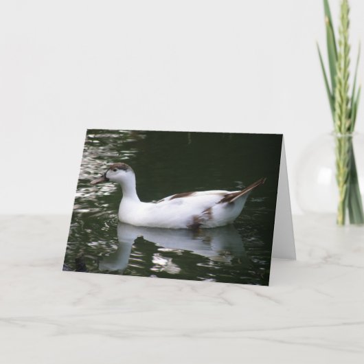 Getrocknete Duck-Grußkarte Karte (Vorderseite)
