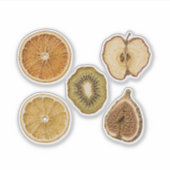 Getrocknete Fruchtscheiben Orange Apfel Kiwi Feige Aufkleber (Vorderseite)