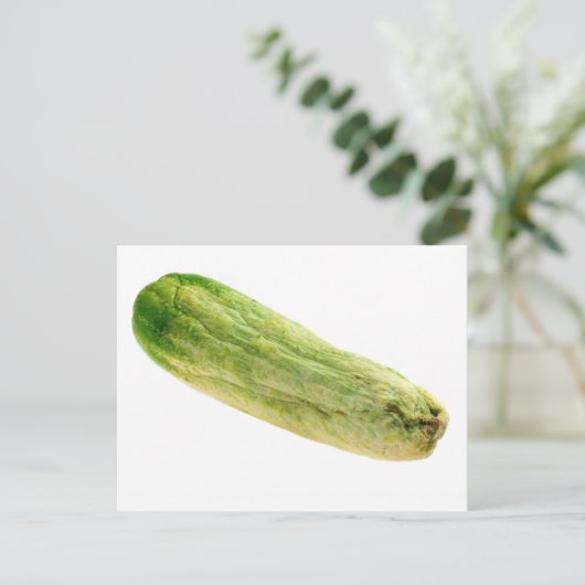 getrocknete Gurke Postkarte (Stehend Vorderseite)