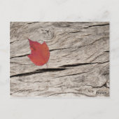 Getrocknete Herbstblätter und Blume Tischnummer (Rückseite)