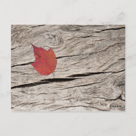 Getrocknete Herbstblätter und Blume Tischnummer (Rückseite)