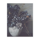 Getrocknete Hortensienblüten, zarte Schönheit.