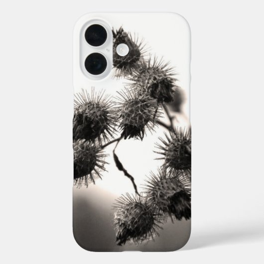 Getrocknete Klette Case-Mate iPhone Hülle (Rückseite)