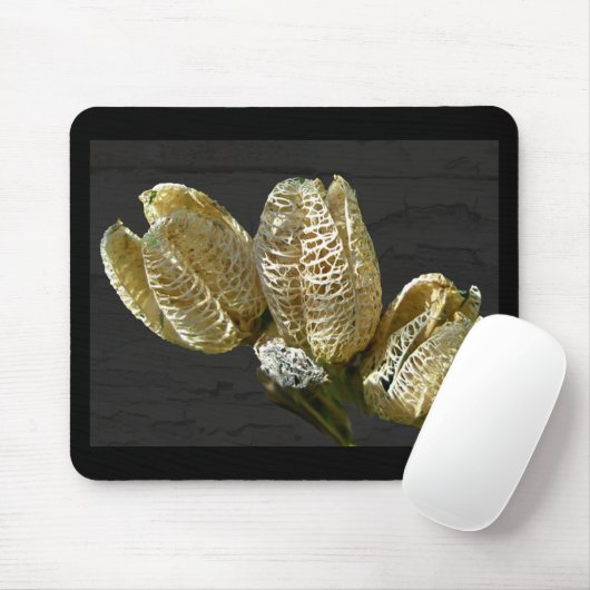 Getrocknete Lily Seed Pods Mousepad (Mit Mouse)
