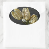 Getrocknete Lily Seed Pods Ovaler Aufkleber (Tasche)