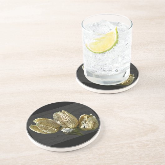 Getrocknete Lily Seed Pods Sandstein Untersetzer (Seite)