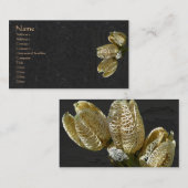 Getrocknete Lily Seed Pods Visitenkarte (Vorne/Hinten)