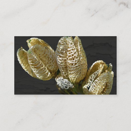 Getrocknete Lily Seed Pods Visitenkarte (Rückseite)