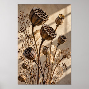 Getrocknete Lotus-Samenkapseln in goldenem Licht B Poster