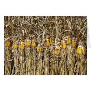 Getrocknete Mais-Stiel-Dekorationen