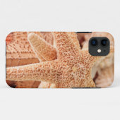 Getrocknete Meeresterne als Souvenirs verkauft 2 Case-Mate iPhone Hülle (Rückseite (Horizontal))