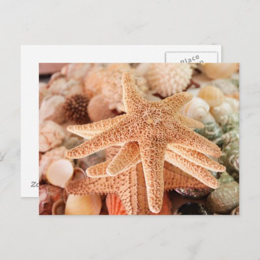 Getrocknete Meeresterne als Souvenirs verkauft 2 Postkarte (Vorne/Hinten)