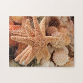 Getrocknete Meeresterne als Souvenirs verkauft Puzzle (Horizontal)