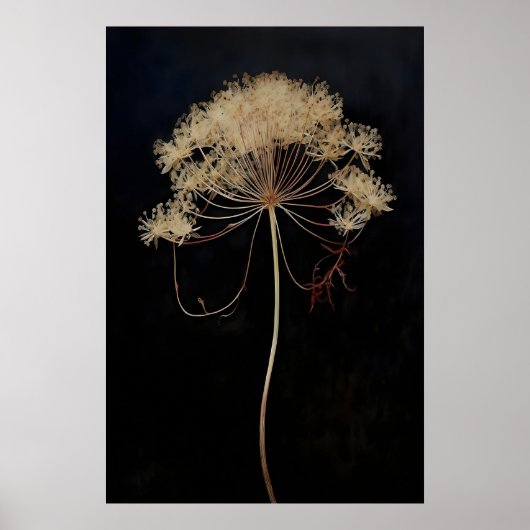 Getrocknete Queen's Lace Blume Dark Academia, Dunk Poster (Vorne)