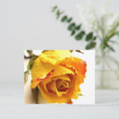 Getrocknete Rose Postkarte (Stehend Vorderseite)
