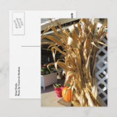 Getrocknete Stalks Postkarte (Vorne/Hinten)