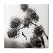 Getrockneter Dock Fliese (Vorderseite)