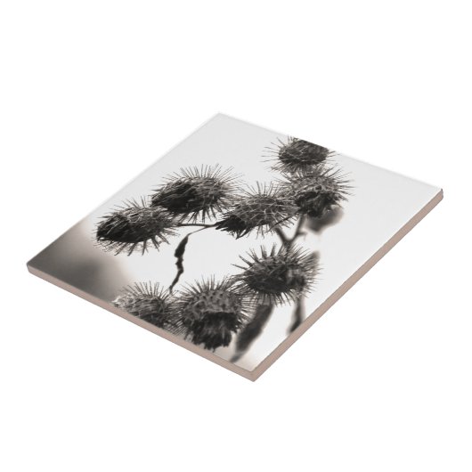 Getrockneter Dock Fliese (Seite)