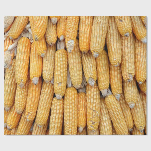 Getrockneter Mais, der gestapelt wurde. Geschenkpapier (Flach)