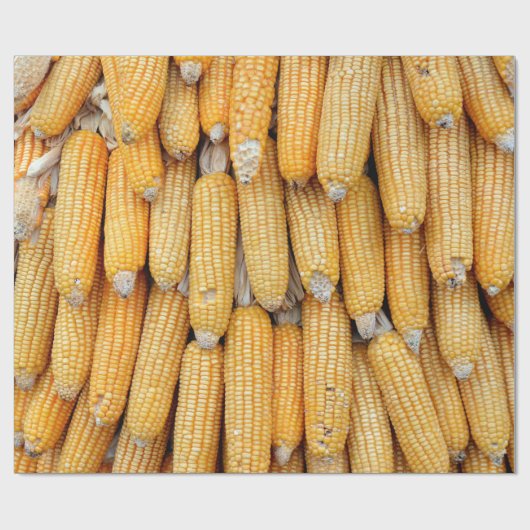 Getrockneter Mais, der gestapelt wurde. Geschenkpapier (Flach)