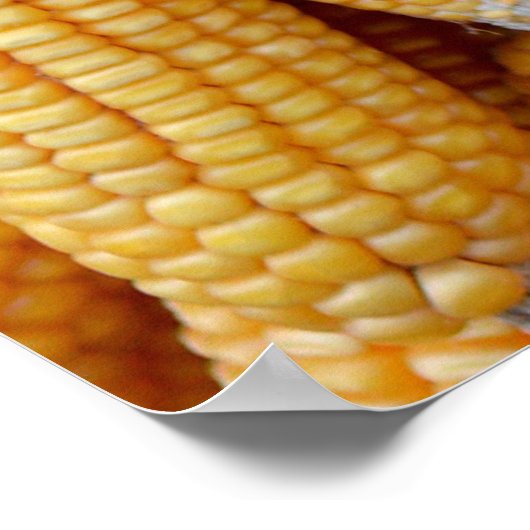 Getrockneter Mais, der gestapelt wurde. Poster (Ecke)