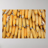 Getrockneter Mais, der gestapelt wurde. Poster (Vorne)