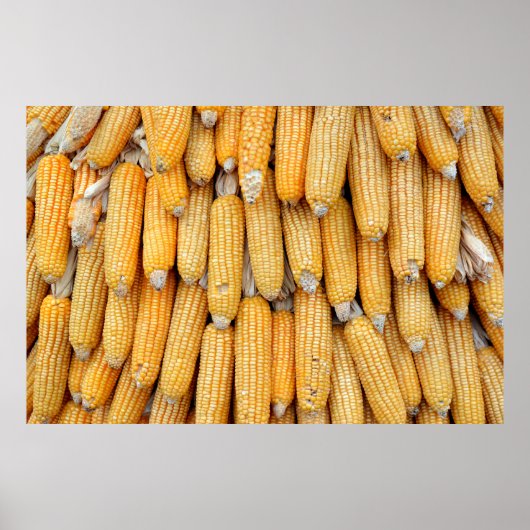 Getrockneter Mais, der gestapelt wurde. Poster (Vorne)