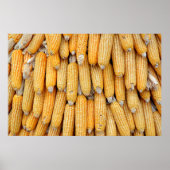 Getrockneter Mais, der gestapelt wurde. Poster (Vorne)