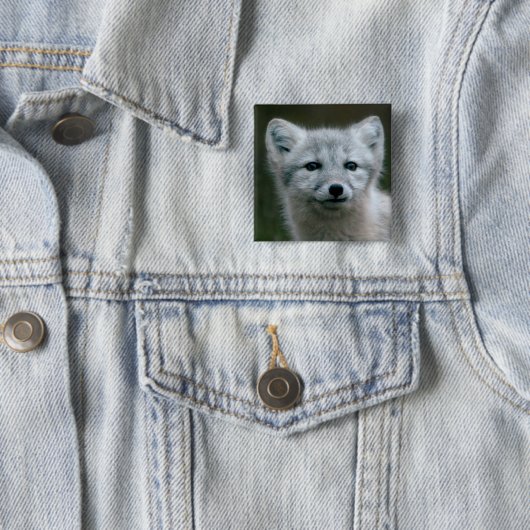 Getty Bilder| arktischer Fox-Ausrüstung Button (Beispiel)