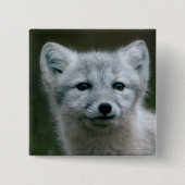 Getty Bilder| arktischer Fox-Ausrüstung Button (Vorderseite)