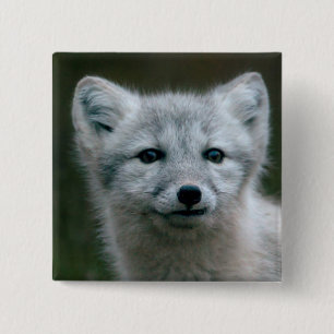 Getty Bilder  arktischer Fox-Ausrüstung Button