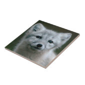 Getty Bilder| arktischer Fox-Ausrüstung Fliese (Seite)