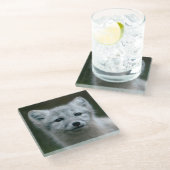 Getty Bilder| arktischer Fox-Ausrüstung Glasuntersetzer (Schrägansicht)