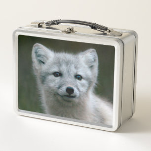 Getty Bilder  arktischer Fox-Ausrüstung Metall Lunch Box