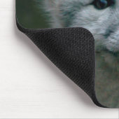 Getty Bilder| arktischer Fox-Ausrüstung Mousepad (Ecke)