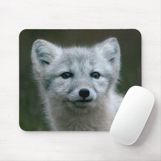 Getty Bilder| arktischer Fox-Ausrüstung Mousepad (Mit Mouse)
