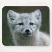 Getty Bilder| arktischer Fox-Ausrüstung Mousepad (Vorne)