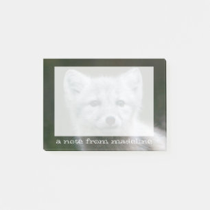 Getty Bilder arktischer Fox-Ausrüstung Post-it Klebezettel