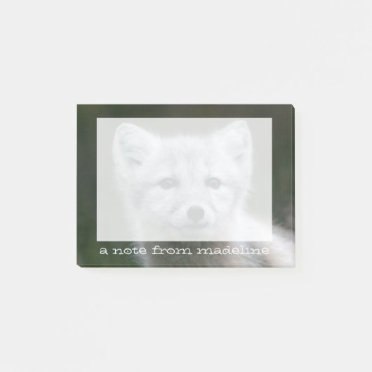 Getty Bilder| arktischer Fox-Ausrüstung Post-it Klebezettel (Vorderseite)