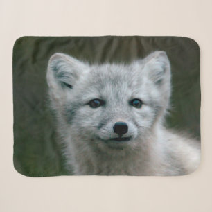 Getty Bilder arktischer Fox-Ausrüstung Sherpadecke