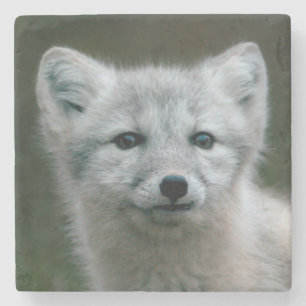 Getty Bilder arktischer Fox-Ausrüstung Steinuntersetzer