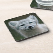 Getty Bilder| arktischer Fox-Ausrüstung Untersetzer (Linke Seite)