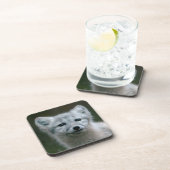 Getty Bilder| arktischer Fox-Ausrüstung Untersetzer (Rechte Seite)