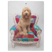 Getty Bilder | niedliches Goldendoodle Klemmbrett (Rückseite)