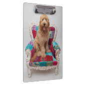 Getty Bilder | niedliches Goldendoodle Klemmbrett (Rechts)