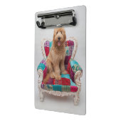 Getty Bilder | niedliches Goldendoodle Mini Klemmbrett (Gewinkelt2)