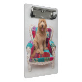 Getty Bilder | niedliches Goldendoodle Mini Klemmbrett (Schrägansicht)