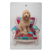 Getty Bilder | niedliches Goldendoodle Mini Klemmbrett (Rückseite)
